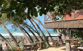 Pousada Paraíso das Tartarugas